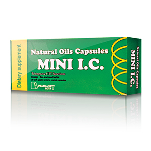 Mini IC
